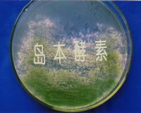 微生物技術(shù)